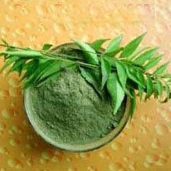 curry leaves powder