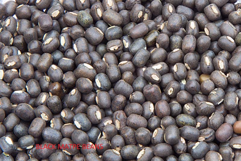 Black Matpe Beans