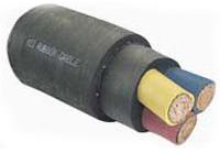 Rubber Insulated Cables