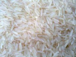 Hard Organic basmati rice, Style : Dried