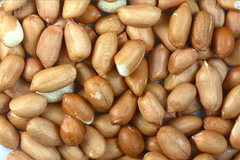 Raw Organic peanut kernels, Shelf Life : 1year