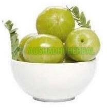 Aushadhi Herbal Amla Extract