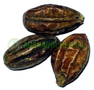 Aushadhi Herbal Arjuna Extract