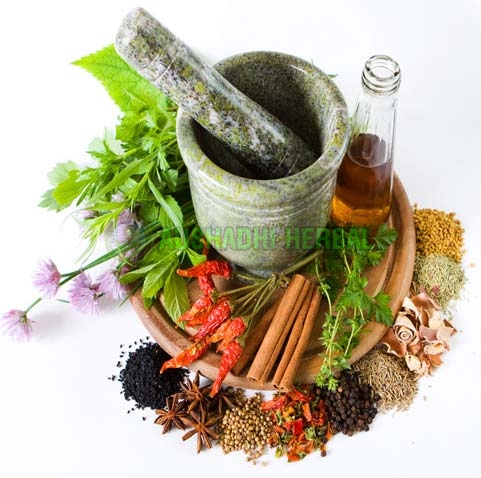 Indian herbal extract