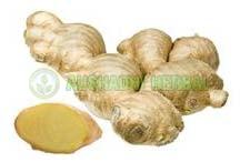 GINGER EXTRACT, Packaging Type : Paper Box, Plastic Packet