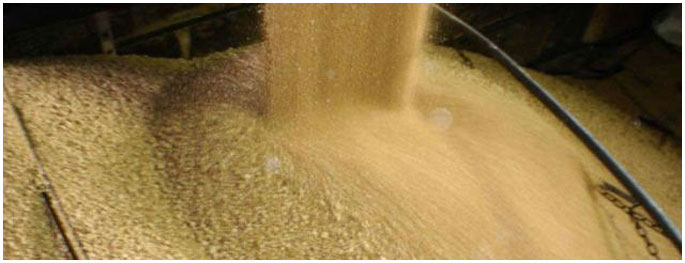 Soybean Meal Extraction