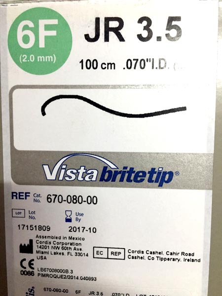 Vista Brite Tip Guiding Catheter