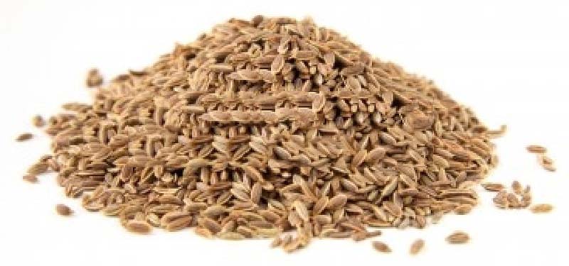 Dill Seeds, Form : Loose