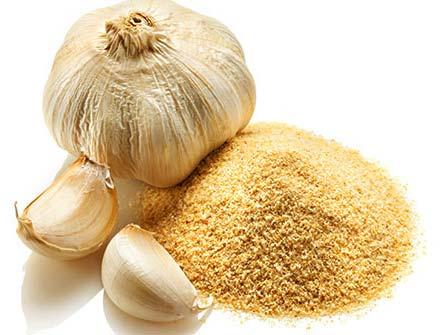 Garlic powder, Packaging Type : Loose