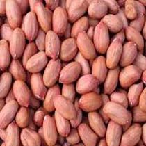 Raw Organic peanut kernels, Shelf Life : 1year