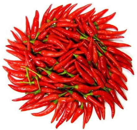Fresh Red Chili