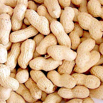 Shelled Groundnuts, for Cooking, Namkeen, Oil Extraction, Snacks, Style : Kernels