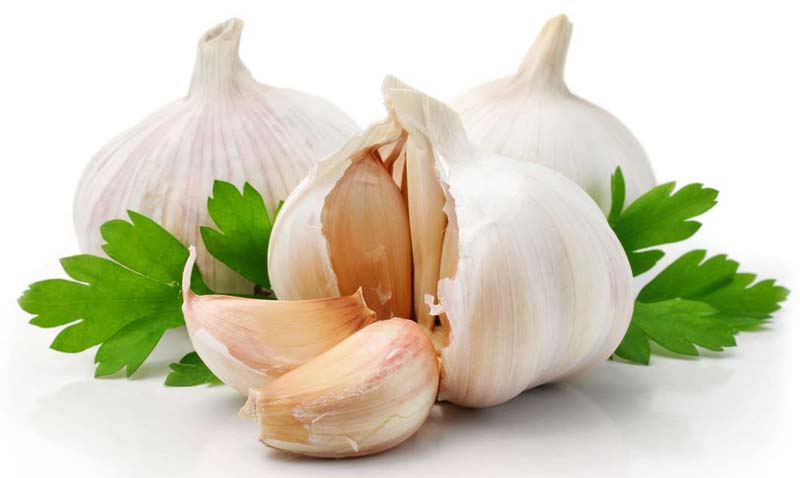Garlics