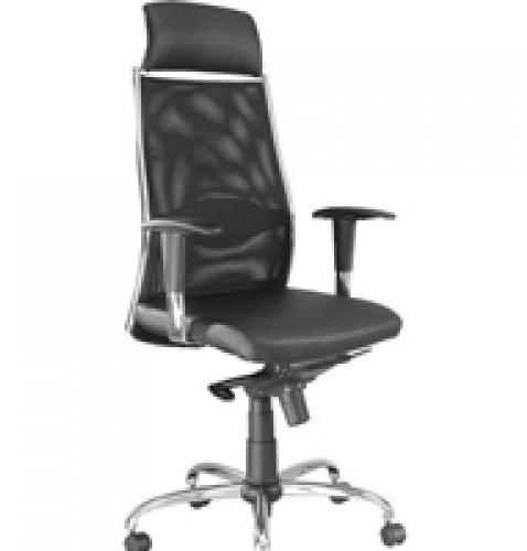Director Chair, Style : Modern