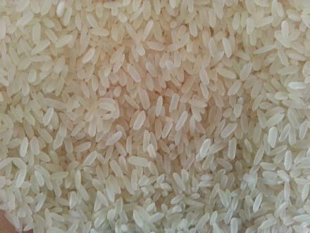 Parboiled IR-8 Rice