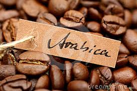 Arabica A Coffee Bean