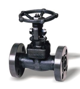 Forged Steel Valves