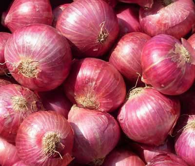 Fresh red onion