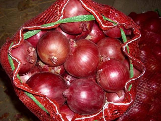 fresh onion