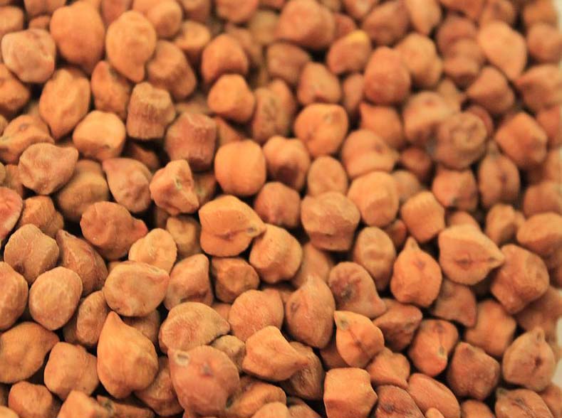 Bengal Gram Seeds