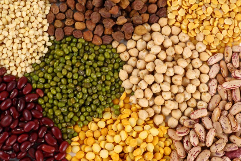 indian pulses