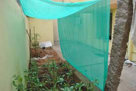 Plain Green Shade Net, Feature : Crack Proof, Superior Quality