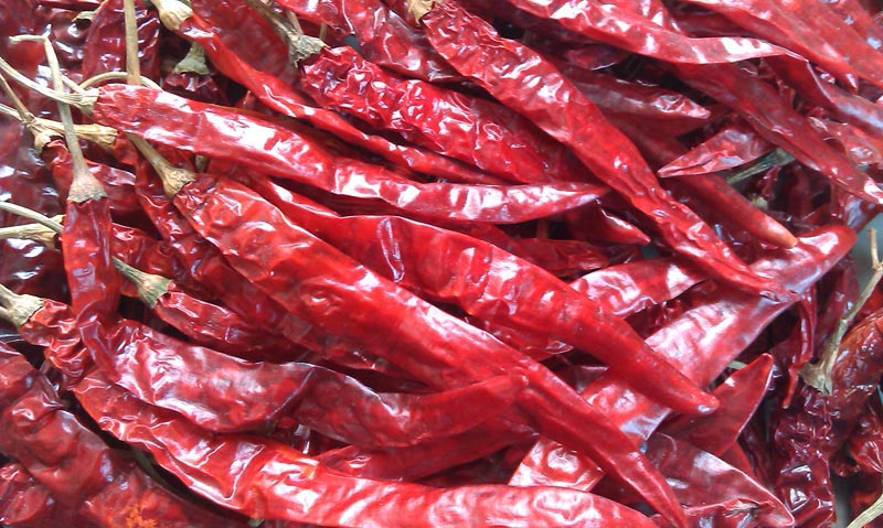 dried red chilli