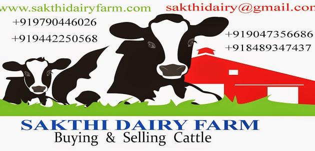 Dairy Farm Consultancy