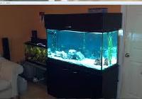 Indoor Aquarium Stands