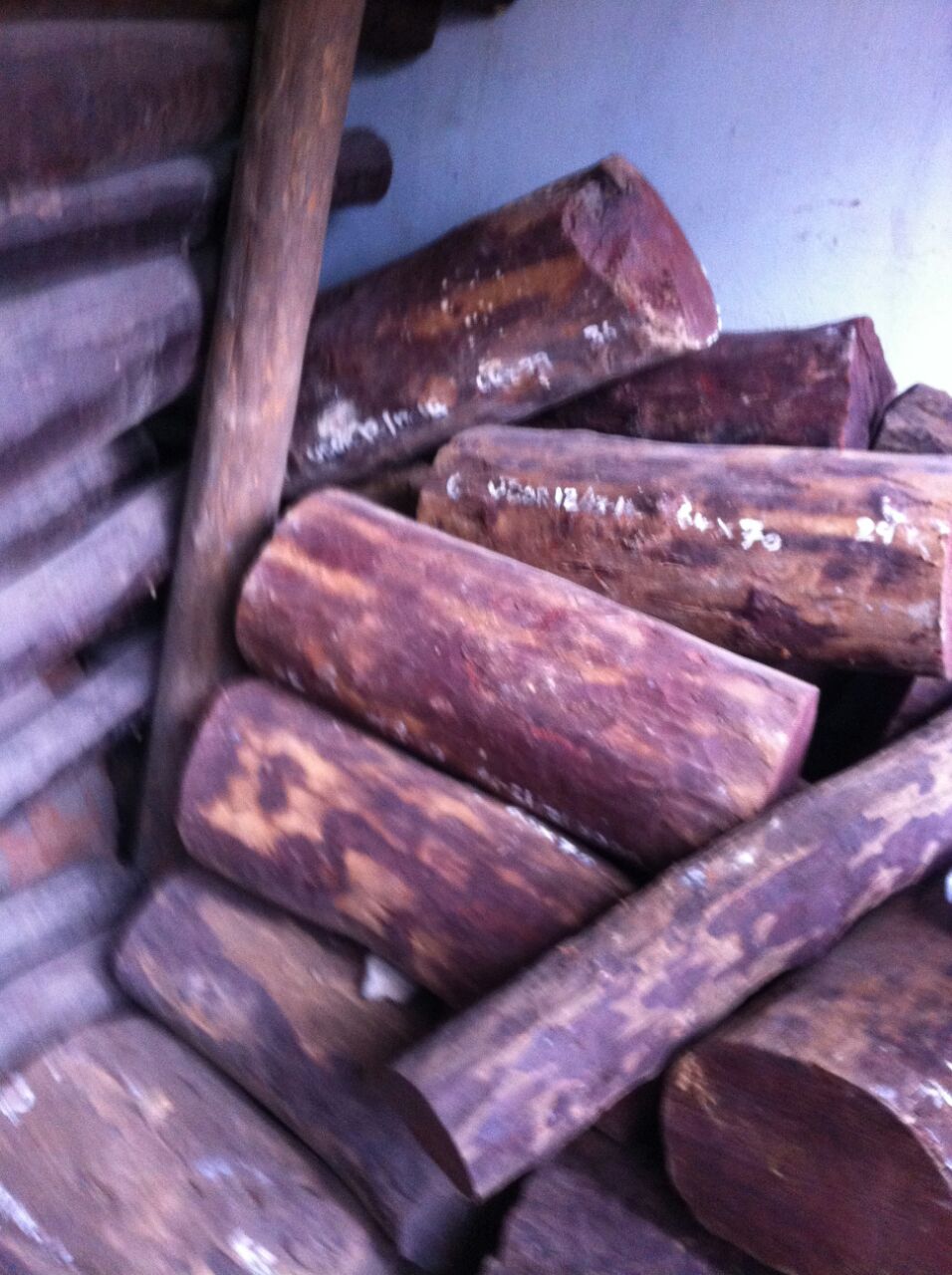 red sandalwood