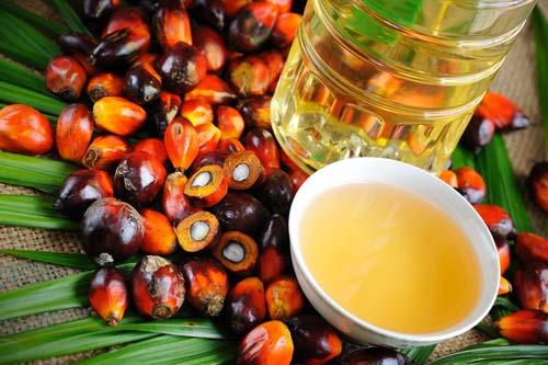 refined palm oil