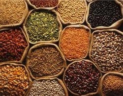 indian pulses