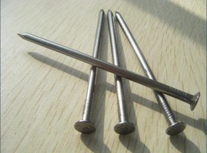 Common Nail Common Nail