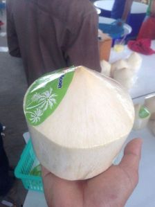 Fresh Young Coconut