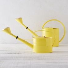 decorative watering can