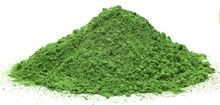 Moringa oleifera Leaves Powder