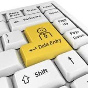 Non Voice Data Entry Project