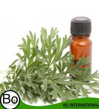 Wormwood Essential Oil