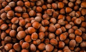 Hazelnut, Packaging Type : Brown, Light Red, Red