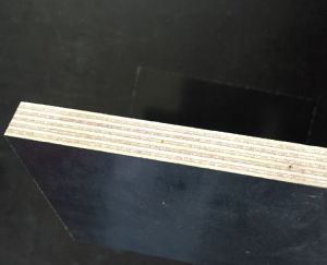 Film Faced Plywood Poplar Core