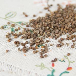 perilla seeds