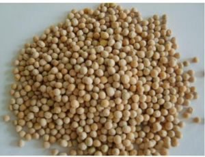 Granular Rock Phosphate