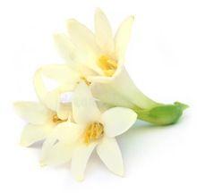 Tuberose Hydrosol