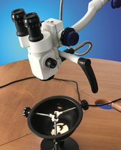 ENT Examination and Surgical Microscope