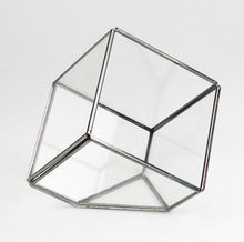 Glass Geometric Terrarium