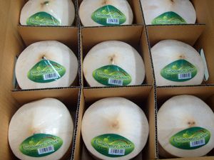 Common Thai Young Diamond Coconut, Brand Name : OEM, Grade : AAA