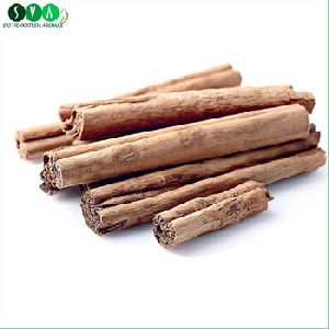 Cinnamon Bark Essential Oil