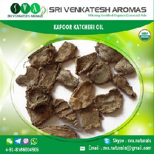 Kapoor Katcheri Essential Oil
