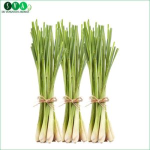 Leaves Lemongrass Essential Oil, Certification : GMP, MSDS, COA