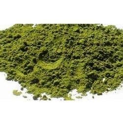 mint leaf powder